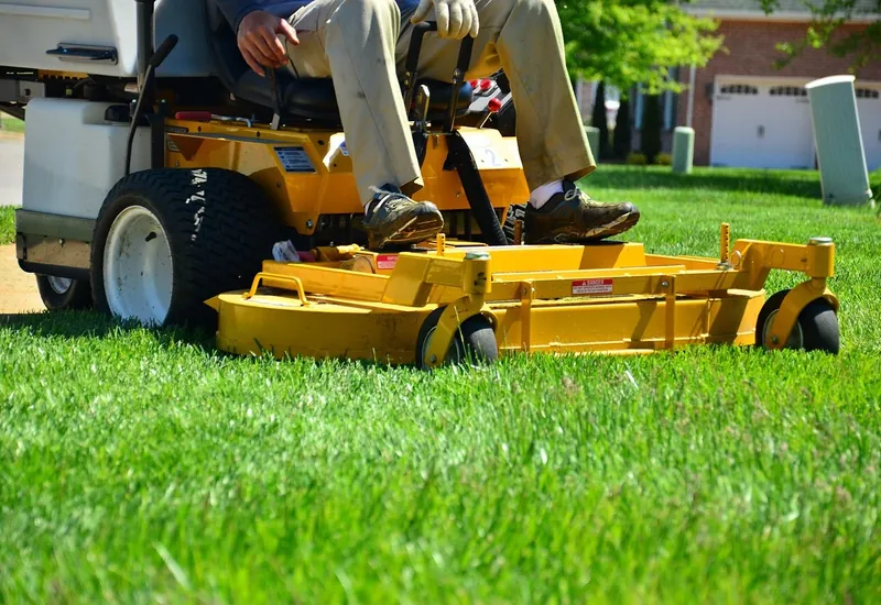 Push mower cutting a sunny green lawn